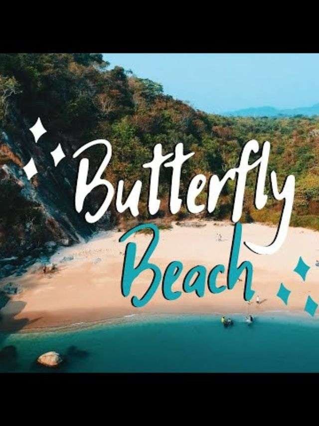 Butterfly Beach Goa Information In Hindi