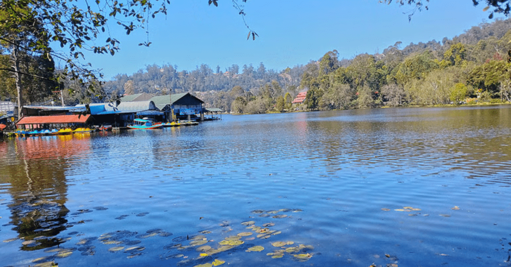 8 beautiful Places in Kodaikanal ,Tamil Nadu you must be visit: कोडाईकनाल, तामिळनाडू मधील 8 सुंदर ठिकाणे तुम्ही अवश्य भेट द्यावी