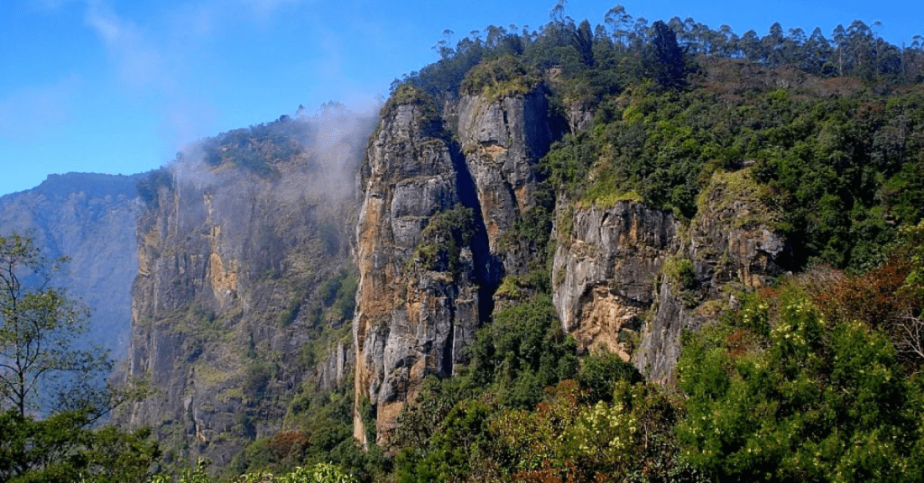 8 beautiful Places in Kodaikanal ,Tamil Nadu you must be visit: कोडाईकनाल, तामिळनाडू मधील 8 सुंदर ठिकाणे तुम्ही अवश्य भेट द्यावी