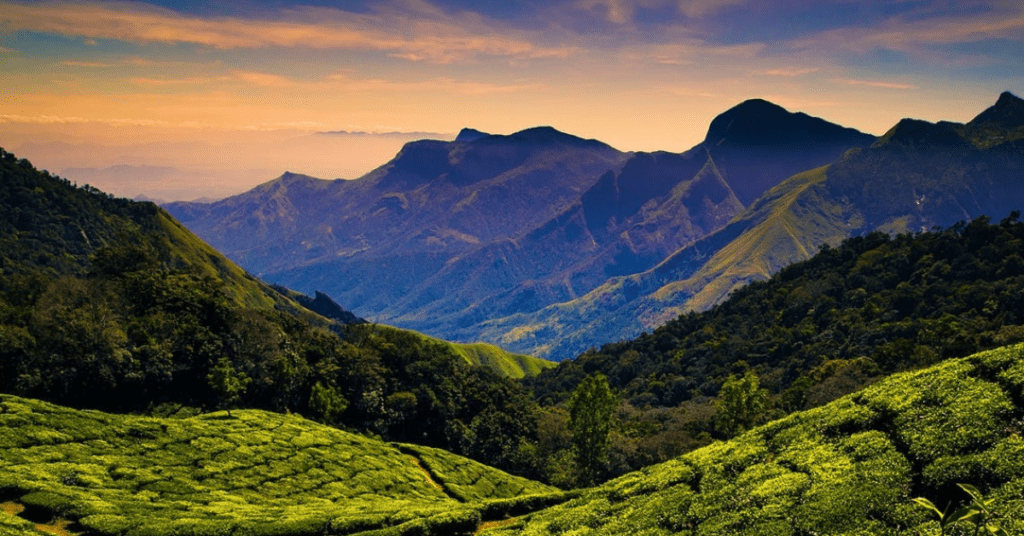 8 beautiful Places in Kodaikanal ,Tamil Nadu you must be visit: कोडाईकनाल, तामिळनाडू मधील 8 सुंदर ठिकाणे तुम्ही अवश्य भेट द्यावी