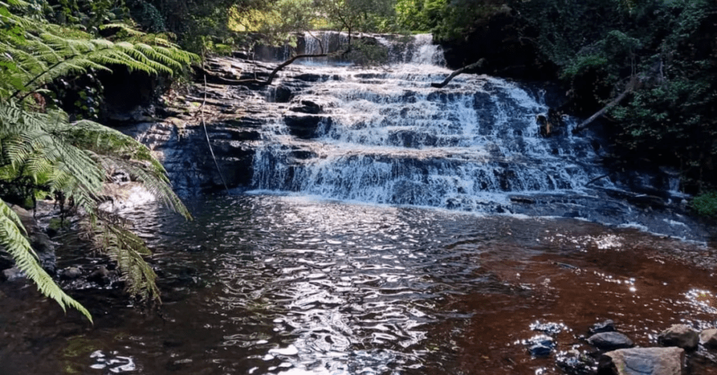 8 beautiful Places in Kodaikanal ,Tamil Nadu you must be visit: कोडाईकनाल, तामिळनाडू मधील 8 सुंदर ठिकाणे तुम्ही अवश्य भेट द्यावी