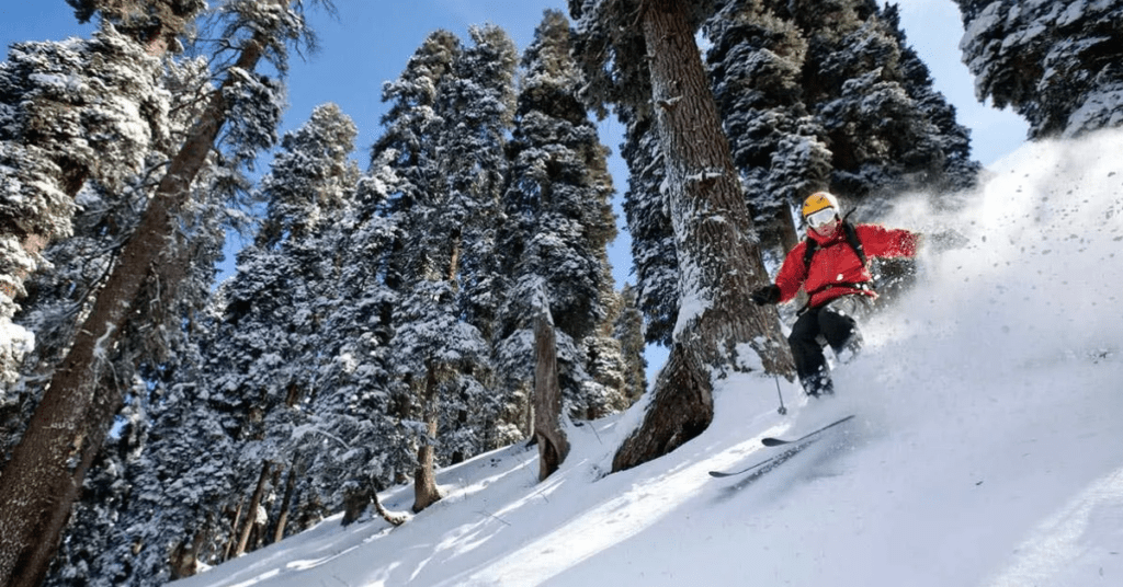 5 Attractive places in Gulmarg, Jammu and Kashmir:
गुलमर्ग, जम्मू आणि काश्मीरमधील 5 आकर्षक ठिकाणे
    