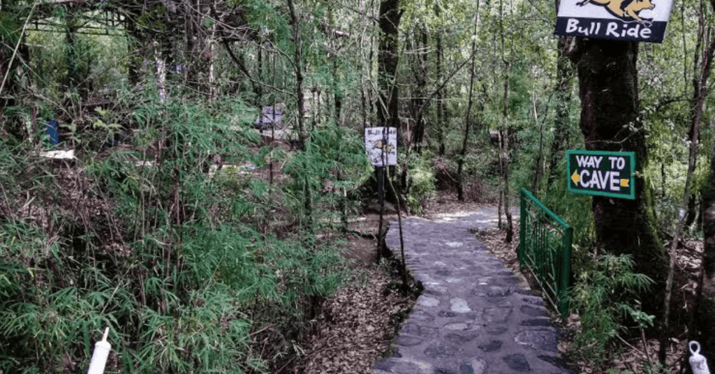 6 Motivational And Attractive Places In Nainital, Uttarakhand: नैनिताल, उत्तराखंड मधील शीर्ष 6 प्रेरक आणि प्रभावशाली ठिकाणे