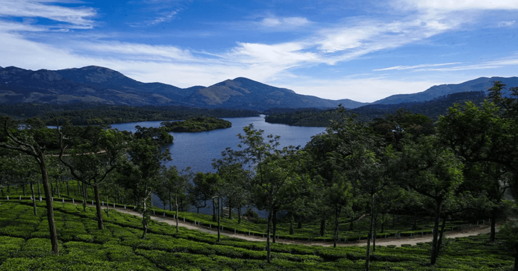 4 Enchanting Prestigious Munnar Lovely And Attractive Kerala: 4 मनमोहक प्रतिष्ठित मुन्नार व आकर्षक सुंदर केरळ